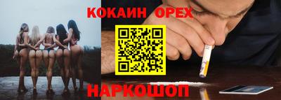 молекула духа Камышлов