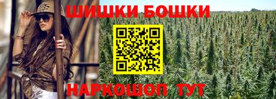 молекула духа Камышлов