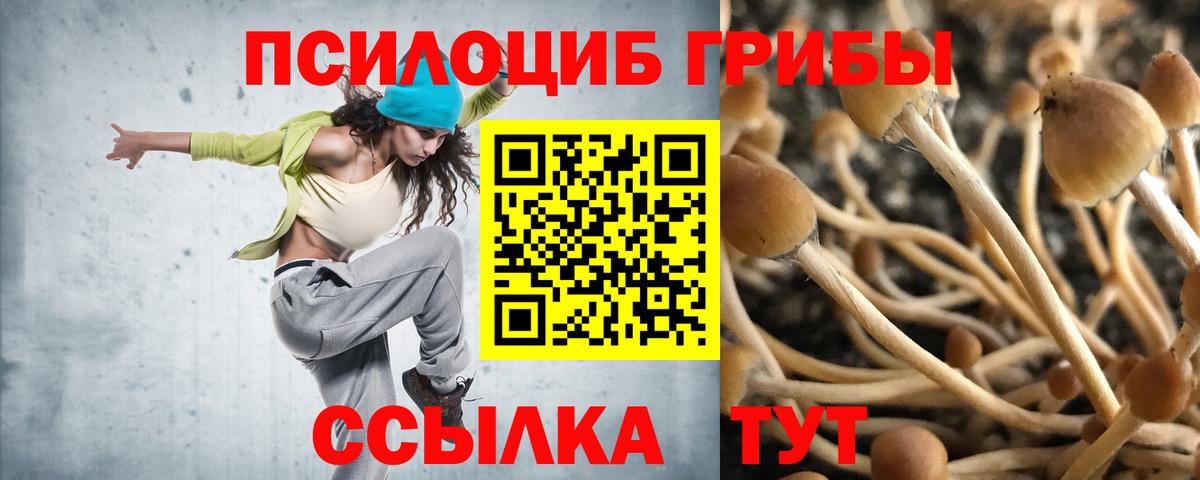 Галлюциногенные грибы Psilocybe  Вход с VPN  наркошоп  Конаково 